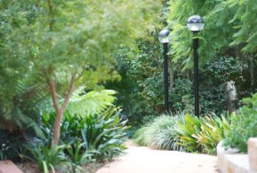 Ashburn House Tree-lined Garden Path with light posts