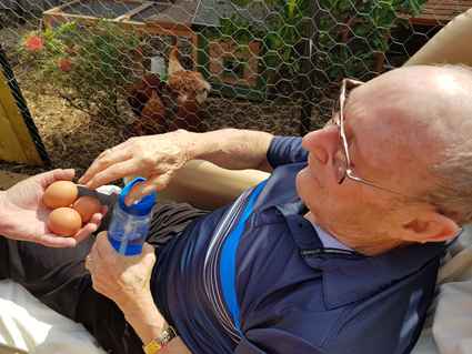 Chicken therapy at Ridgeview Aged Care in Albion Parkq